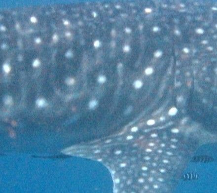 dbc2a60e-da69-4703-9d35-a3a25bc88ba8