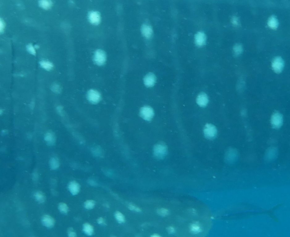 f4ca3c09-52ef-49b1-b5cd-afe4d579da2a