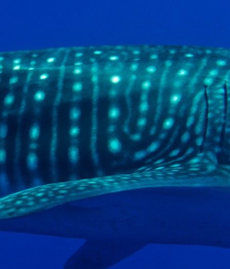 4125759a-2d52-4168-81c6-d38f701682d1