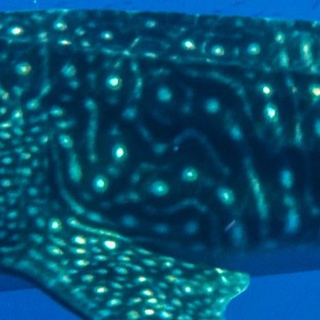 4125759a-2d52-4168-81c6-d38f701682d1