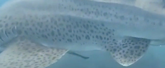 822a09dc-09dc-4158-817d-b5d1def3de39