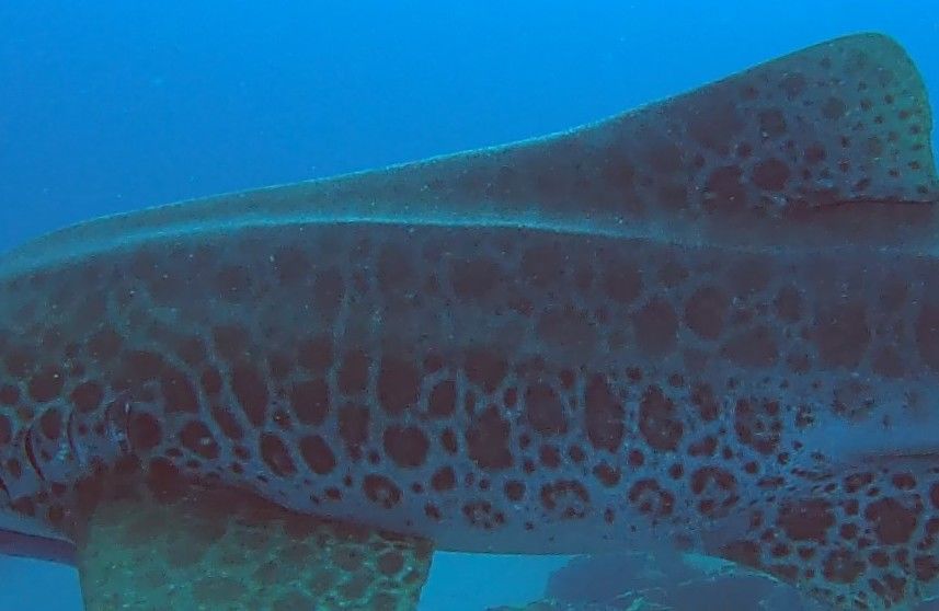 f1e55fd3-efa8-48df-a4e7-2c6819498473