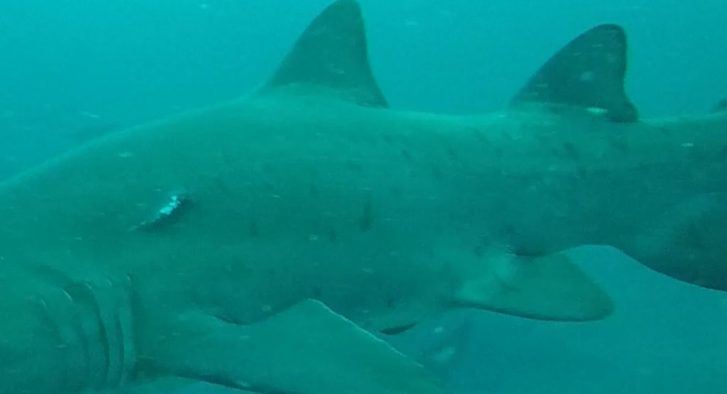 ab877c31-8ad9-490c-8141-1e3ddfc94c6e