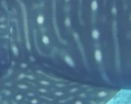 bb04c481-f1d2-4e50-bfdd-15b1f613ac6d