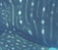 bb04c481-f1d2-4e50-bfdd-15b1f613ac6d