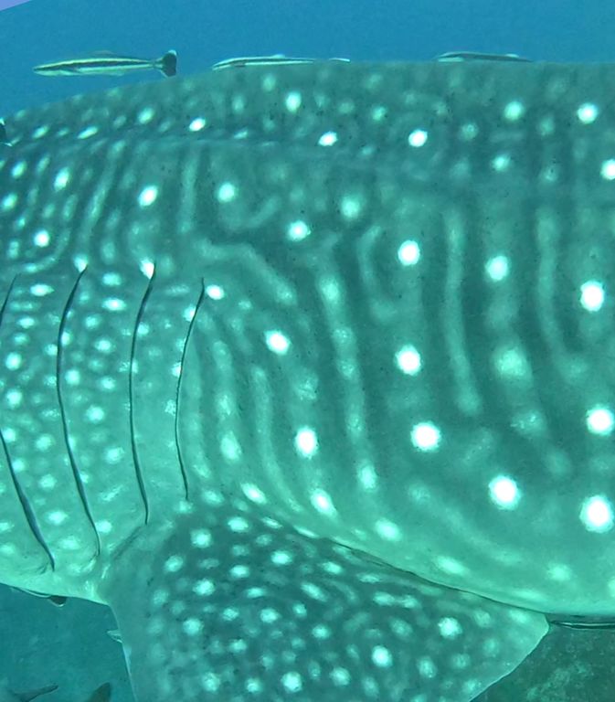 c14aa673-ea7c-429b-97d2-91e81ed3b259