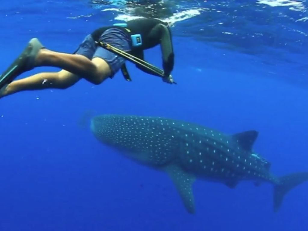 284dc510-f18b-48d2-99ac-472820cca9f3