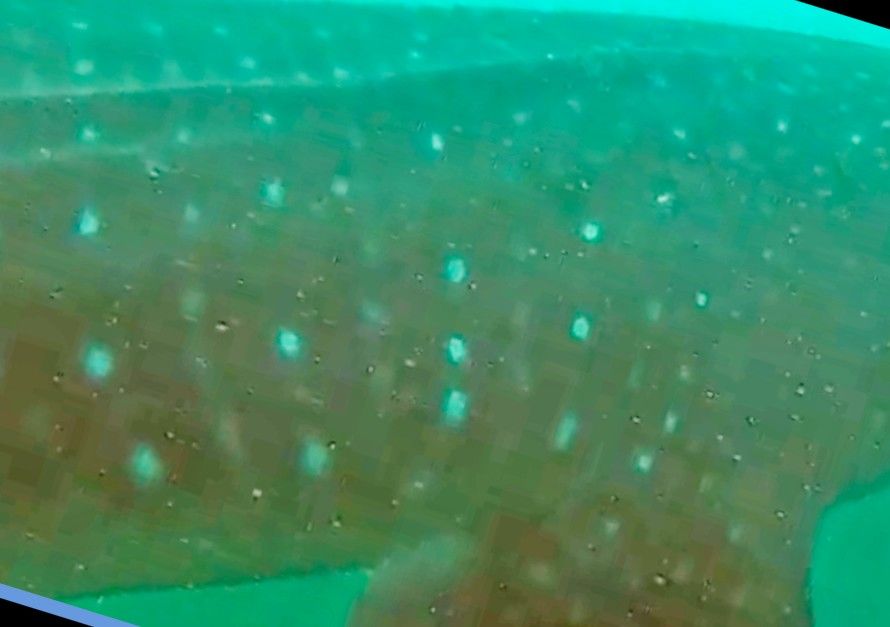 e05f2843-1b09-4b7e-aa1a-a8a5bf4f62f4