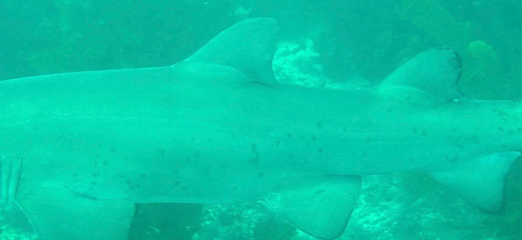 7bd883a2-c213-4933-8a80-68f266fa3e6e