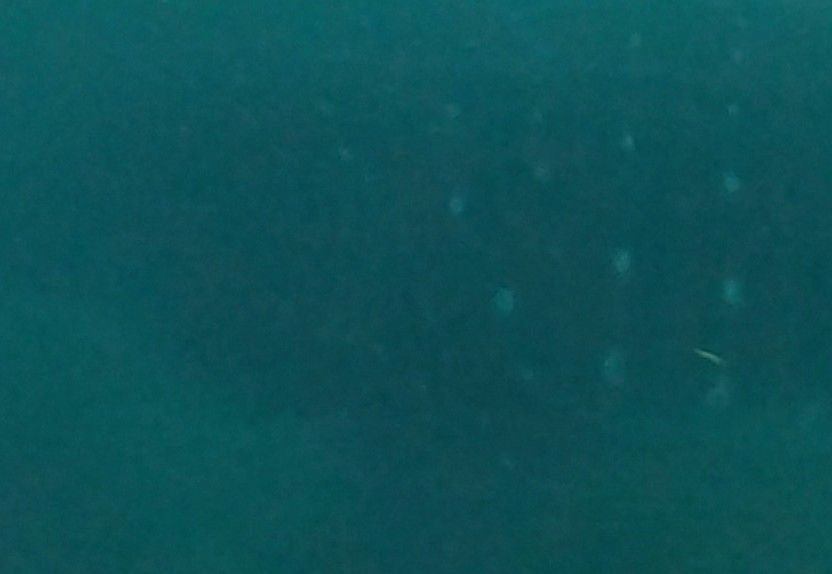 8d65392c-c8ad-4656-aa1a-ee74a9d278c1