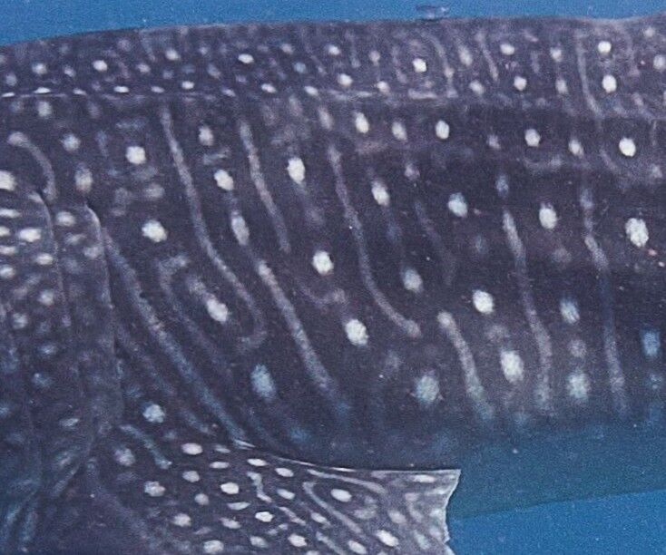 e6edd8ef-7d52-40de-9f1c-c7e1710f7aea