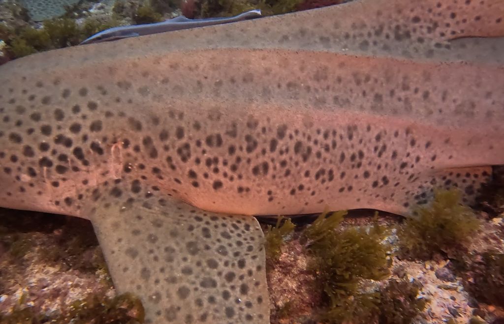 18aff22f-4c5d-42b4-8d87-b8911879a44f