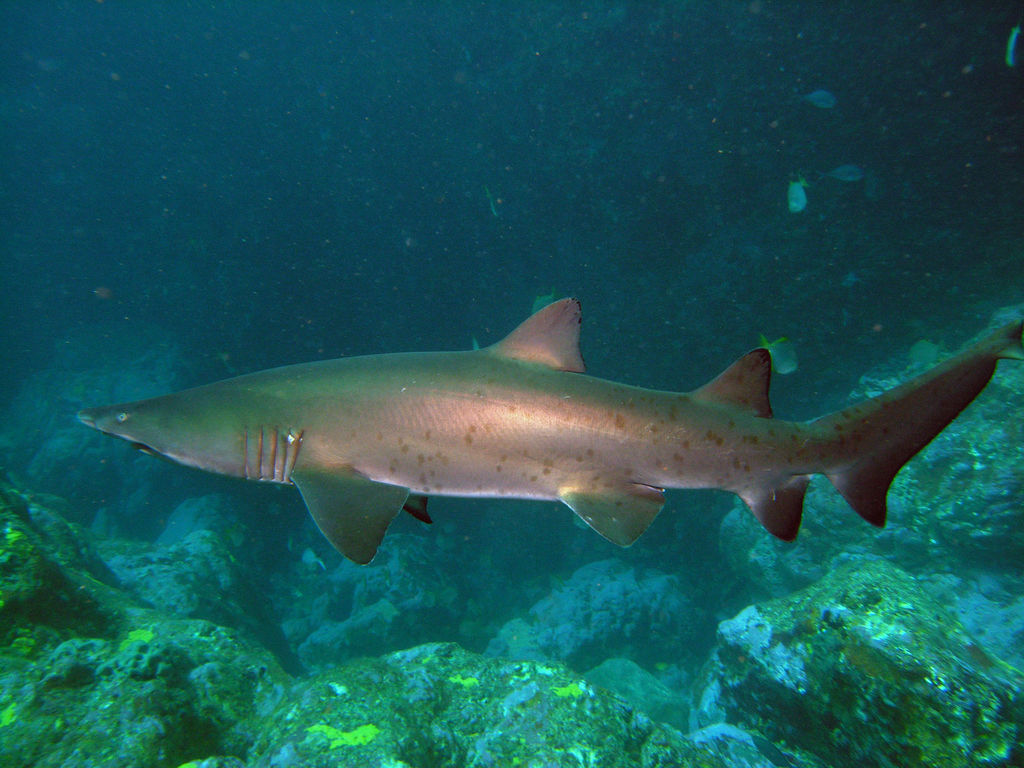 2b0d9f81-1500-4a07-833f-3aba2aff2442