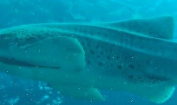 3c130716-62b9-4735-920f-9d381eb6ac37