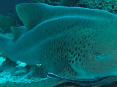 3c130716-62b9-4735-920f-9d381eb6ac37