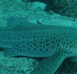 7172075a-cf42-41c5-bcdb-d5c943f6e64b