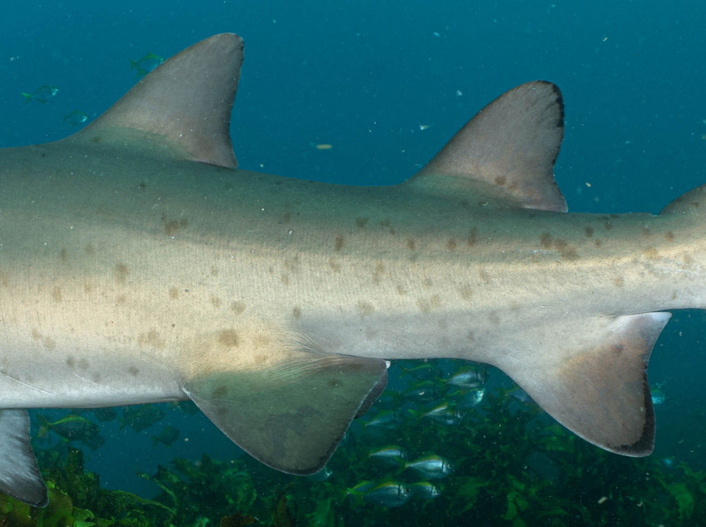 8313ab82-129c-4063-960d-0d3f0d768713