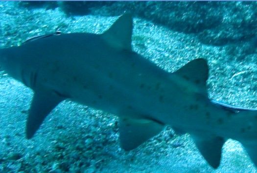 3b6f6f2b-d8ed-4c5c-8d6b-fefdecb9a975