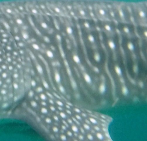 036a527c-9322-4486-9242-0f2e673d24f8