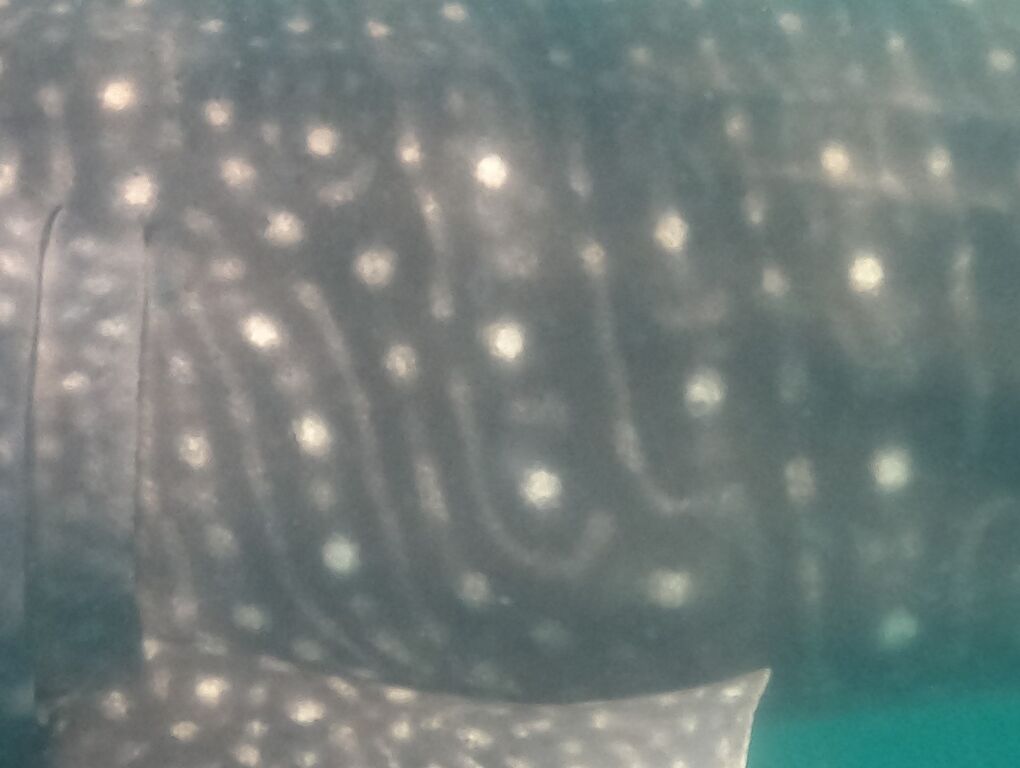 80b13dae-14cf-451b-afc5-1d26399cb5a3