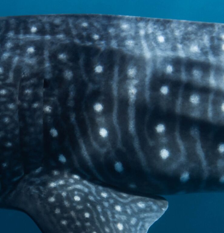 059c88d4-56d4-404e-a2eb-90083cbfa220