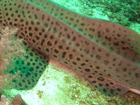 2cea99ab-6b0e-42d9-8ef0-fd599c4e34cd