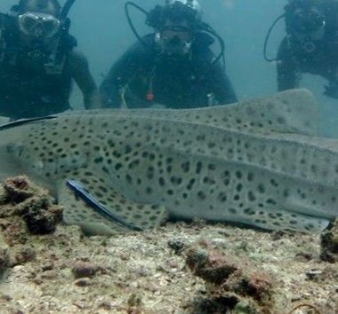 26ec0430-c662-4e4b-9468-20db6b2ee2c2