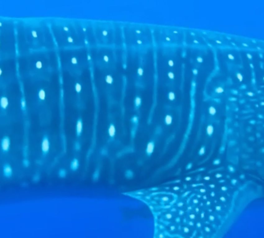 4f5a86e8-b73d-41c0-a706-8f90f04c4922