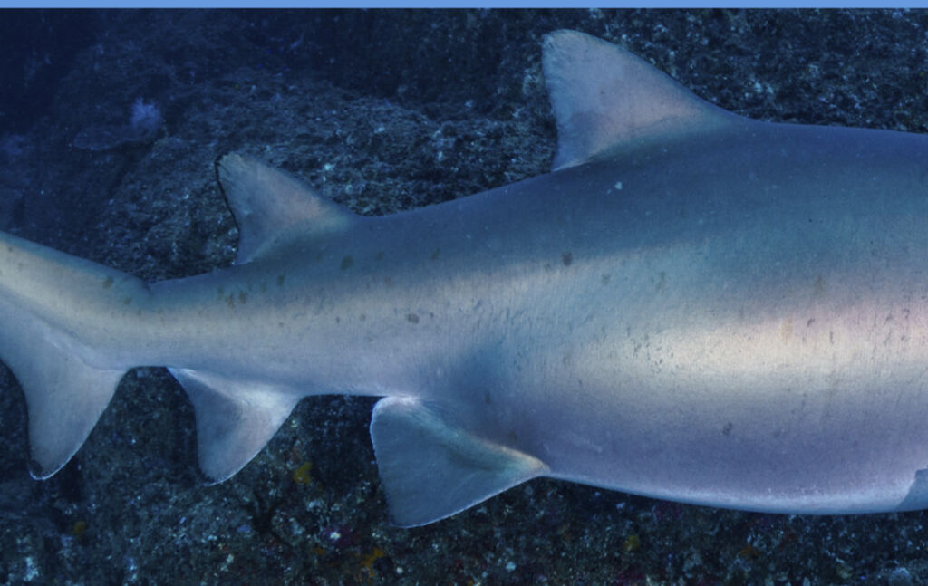 8d2b766d-0346-4903-8bf4-c7d50d9ccec4