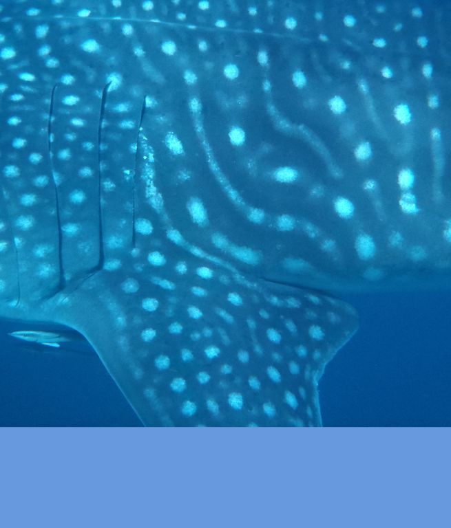 ee64451c-e437-4cfa-812e-4caeaf23105f