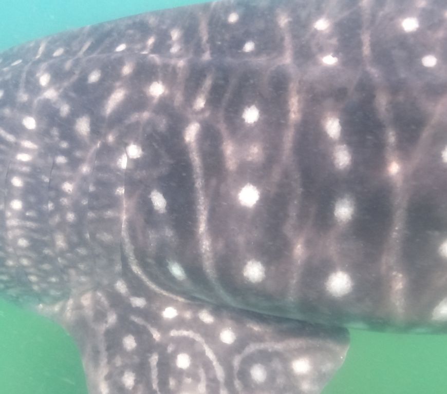 a5dd4cd0-1e8d-49f4-93a2-ab75d076a770