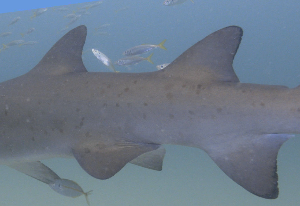 15012861-82fc-4f06-8947-8eaee72fab8e