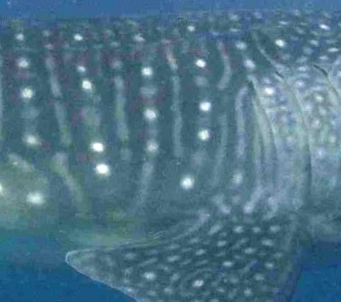 43c43291-96c5-4e91-af70-5a27df9ebdb4