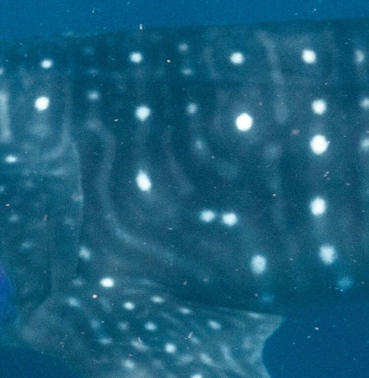 fef602ad-bc2b-4293-aa30-6789a72f130b