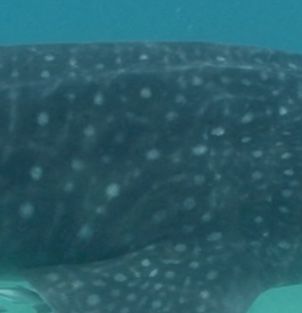 fe1381b7-8db2-4499-872f-1c0d3208ab46