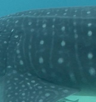 fe1381b7-8db2-4499-872f-1c0d3208ab46