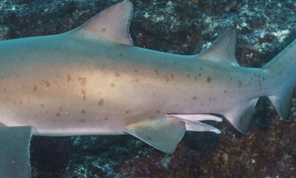 5748f54a-9cde-49a6-ad83-578f65cfe41b