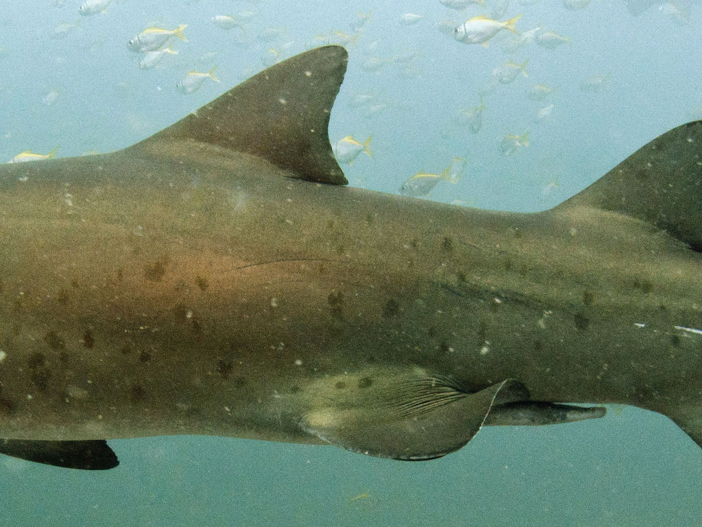 b8adad0d-6496-4403-9b96-5843bbf3460d