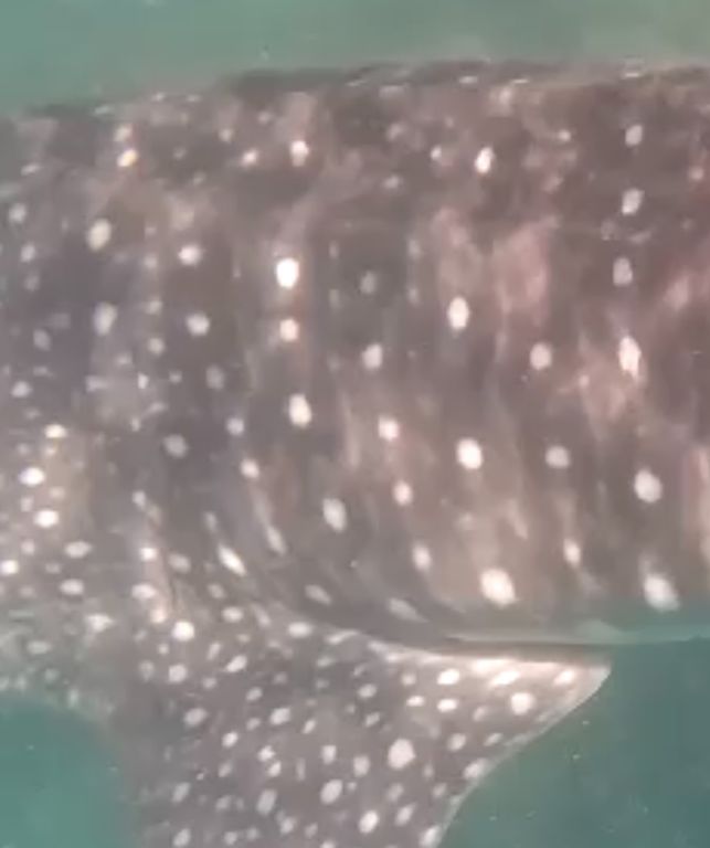 a2068f48-6e9e-49f9-ba51-e9f99f109a12