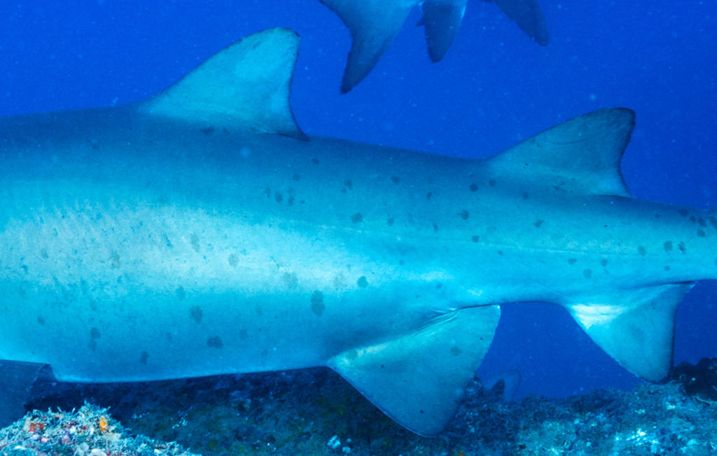 7ab15ecc-c383-4194-8826-eaaa86404d55