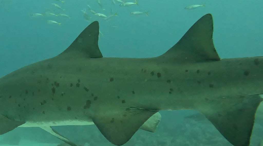 cdade344-f59d-4770-a4a8-623b639dab3f