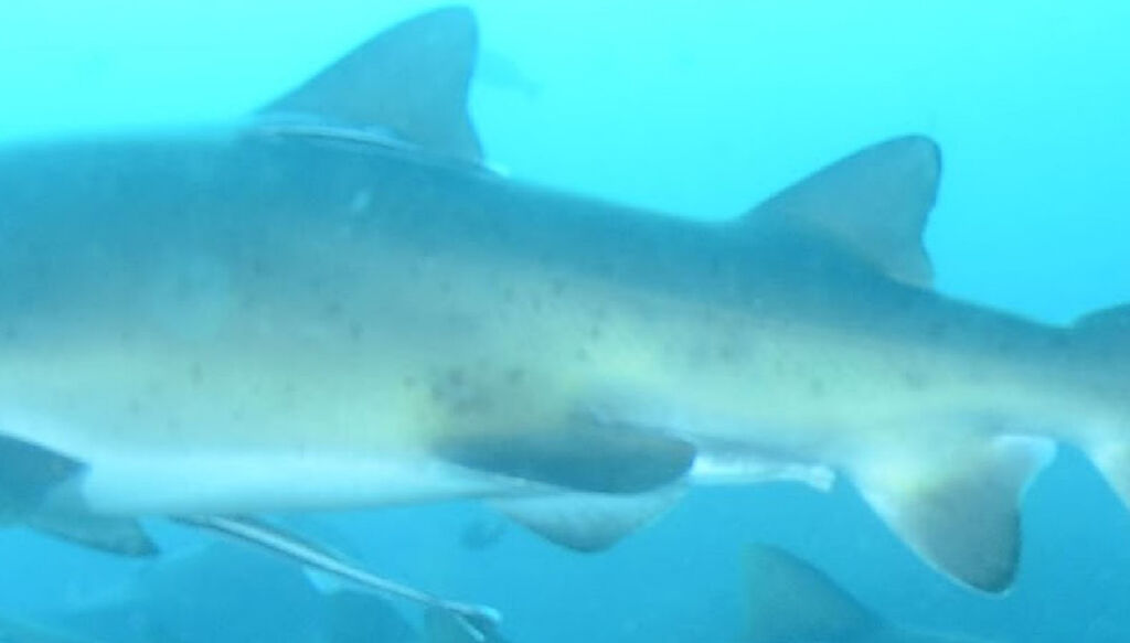 945cb0ce-8b22-498f-8ae8-9dae6002d2d4