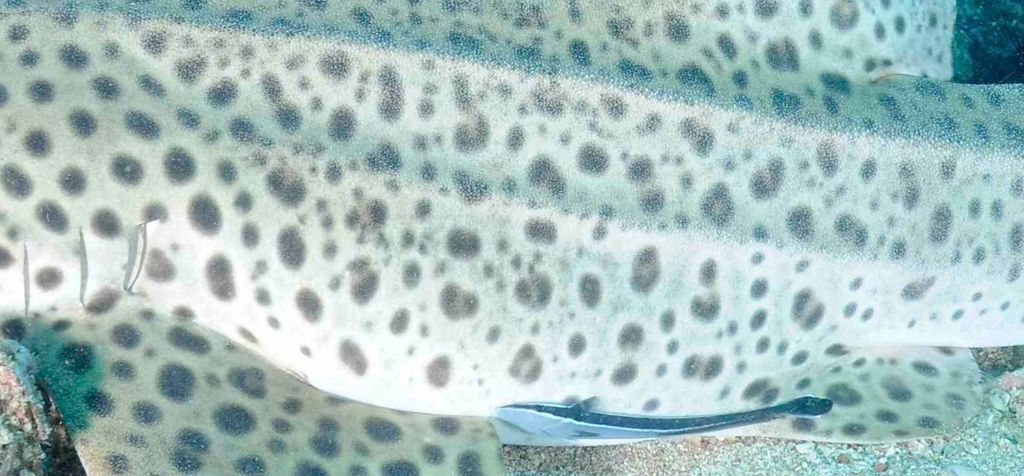 b0fc169f-ae5a-43cd-9941-a79dd937c5ae