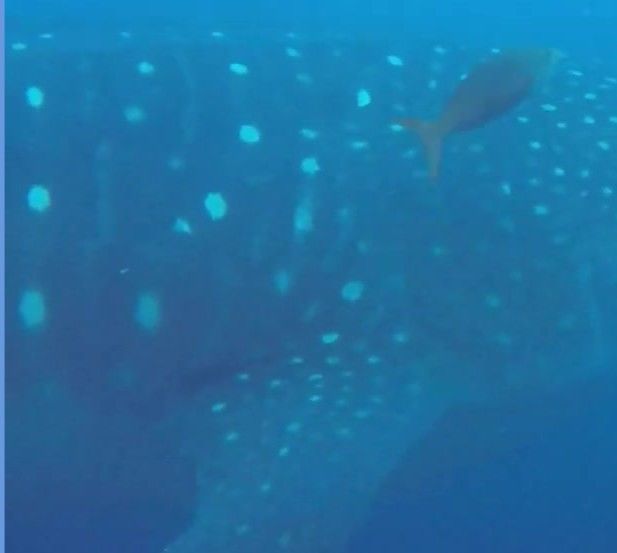 c2b4b3da-10e4-409e-a408-671c7d99c9ee