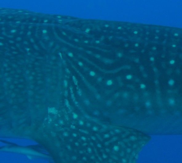 72ff92c6-5791-457c-a850-1c547edbe083