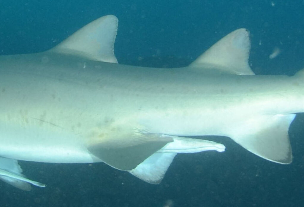 023b0861-32b6-4480-827e-53ce6d308756