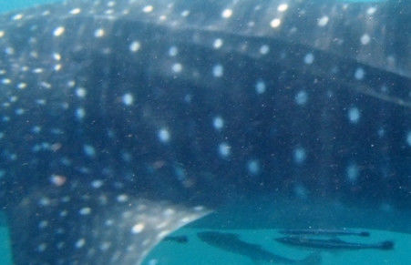 414e4da7-fa68-45d2-8272-1a041a2d62f7