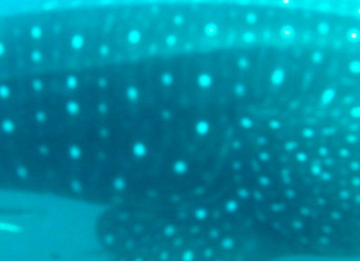 414e4da7-fa68-45d2-8272-1a041a2d62f7