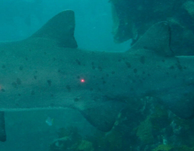 71a15306-36a0-4ac7-af63-293a29b8f450