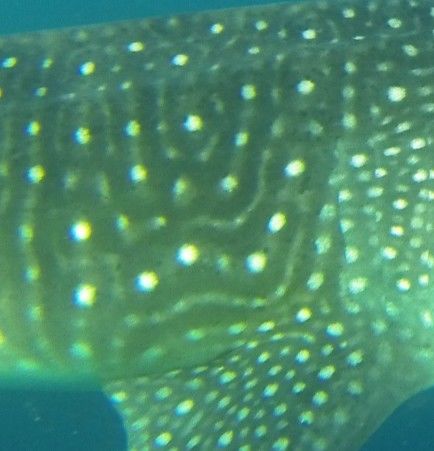 89ef886e-0545-4187-afb4-682d095778bb